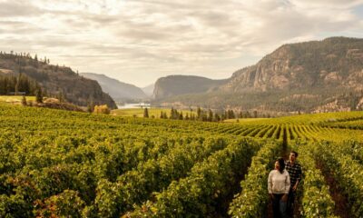 british-columbia-valleys-vineyards-portada