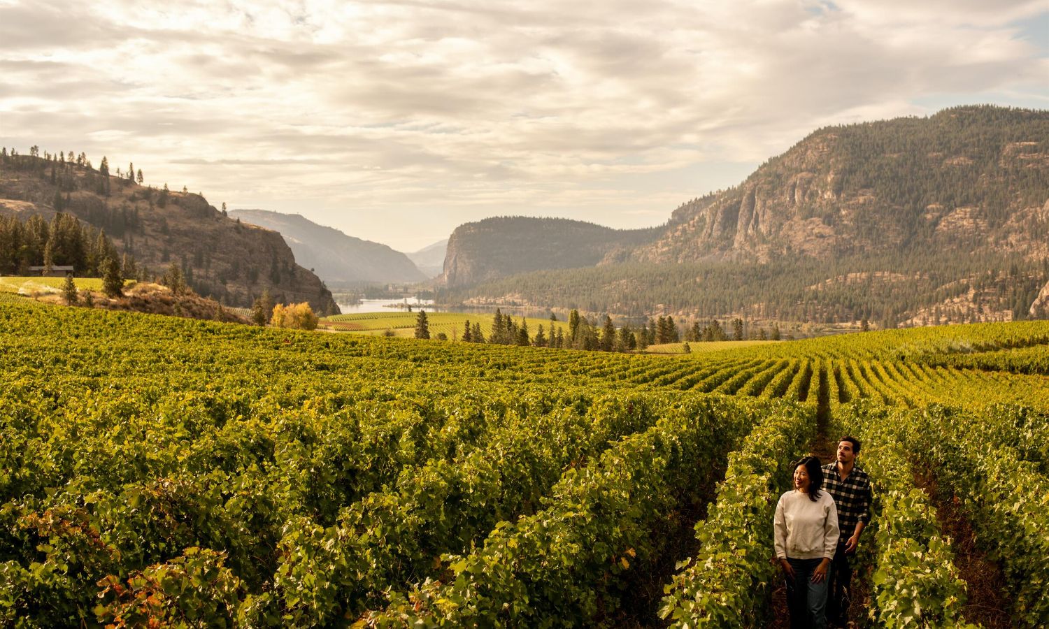 british-columbia-valleys-vineyards-portada