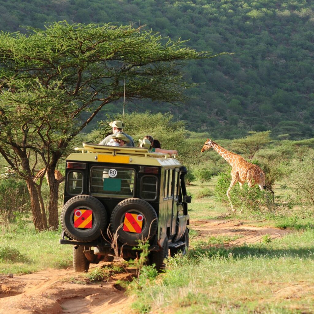 kenia-tanzania-experiencia-familiar-safari