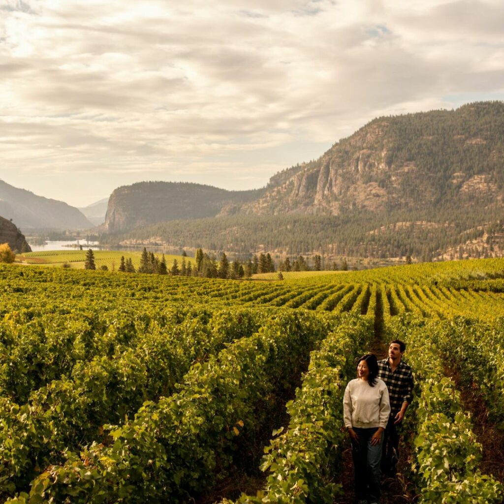 valleys-and-vineyards-british-columbia
